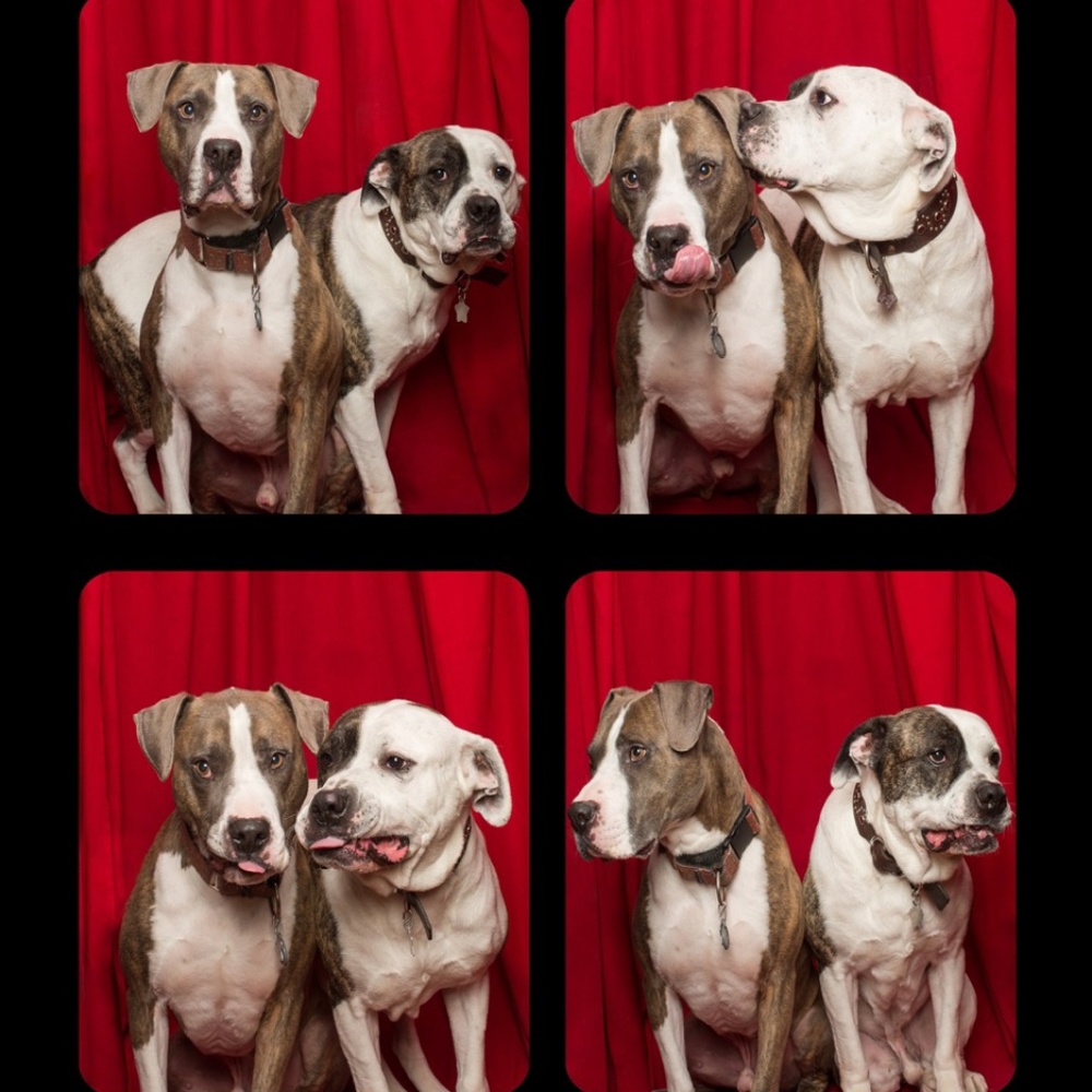 Meet your Posher, Mary - Picture 2 of 4